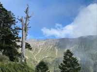 Quiet Majesty on the Trail to Yushan West Peak