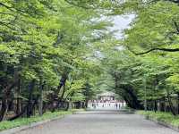 北海道大學|城市中的綠意書卷風景