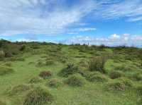 Wandering Through the Grassy Beauty of North Wuzhishan
