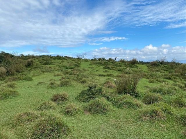 Wandering Through the Grassy Beauty of North Wuzhishan