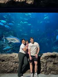 Mini fun at SeaWorld Ancol 