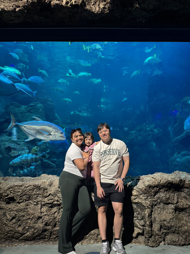 Mini fun at SeaWorld Ancol 