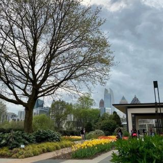 Urban Oasis – Atlanta Botanical Garden (Atlanta, Georgia, USA)