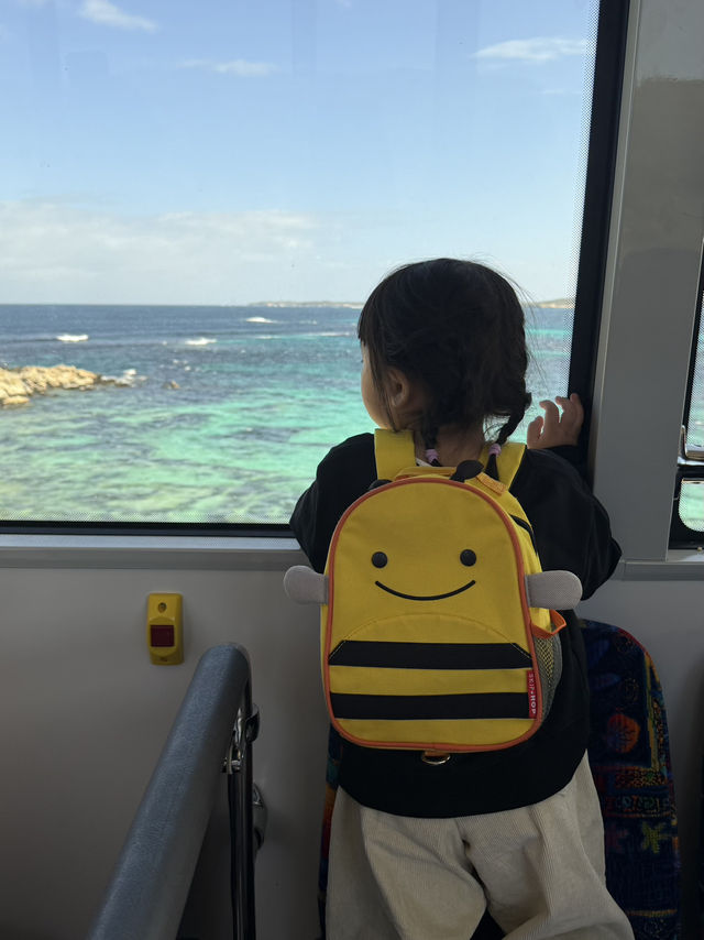Rottnest island Paradise found ✨🌊🚴‍♀️ 