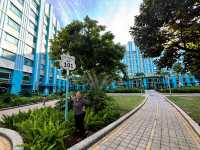 Lights, Glamour, Magic: A Starry Stay at Disney Hollywood Hotel