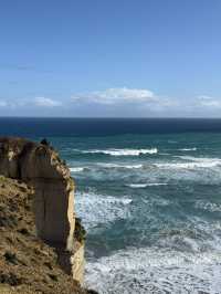 2D1N Great Ocean Road Adventure: Koalas, Coastal Views & Hidden Gems 🐨🌊