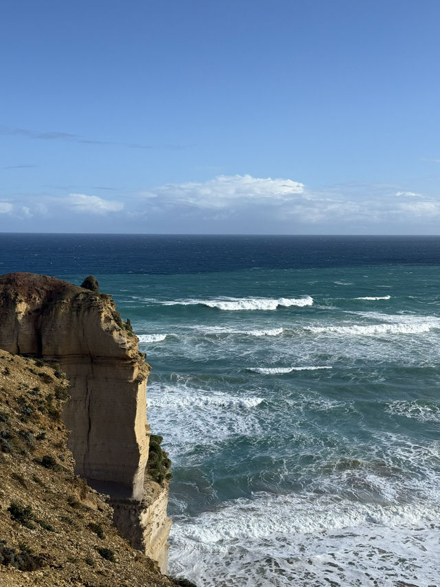 2D1N Great Ocean Road Adventure: Koalas, Coastal Views & Hidden Gems 🐨🌊