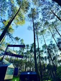 A stylish “nature + tech” stay in Bandung.