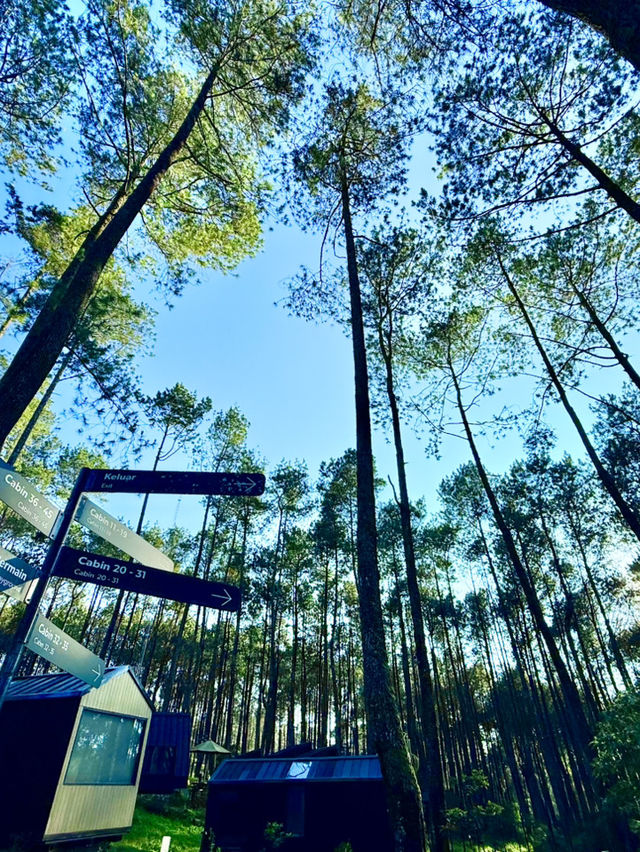 A stylish “nature + tech” stay in Bandung.