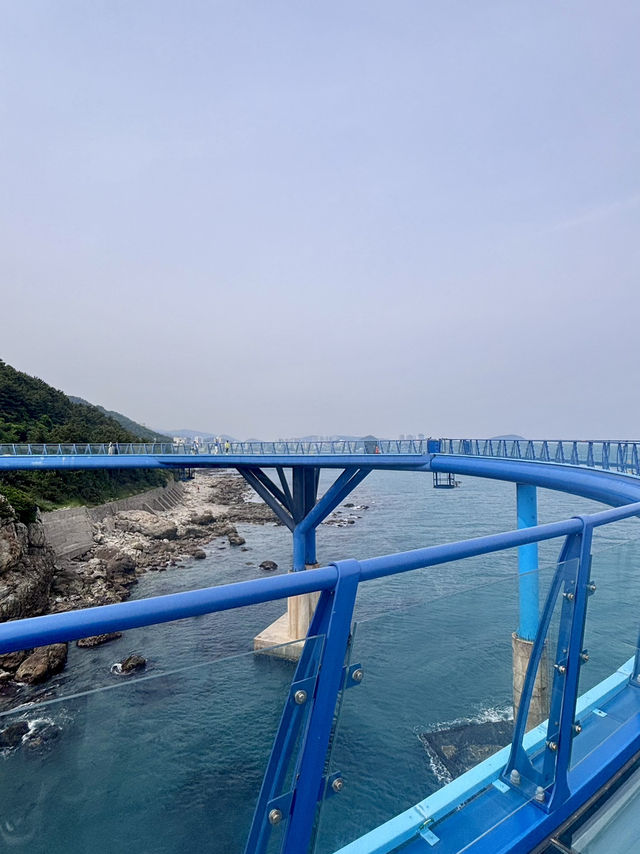 【韓国 釜山】 海雲台ブルーラインパーク スカイカプセル　スカイウォーク