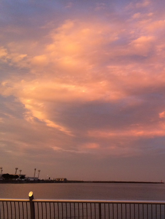 🌅Early Summer Evening in Yokosuka Mikasa 