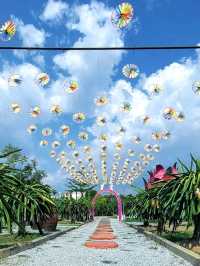 My Sepang Itinerary : A Sweet Discoveries at HL Dragon Fruit Eco Farm.