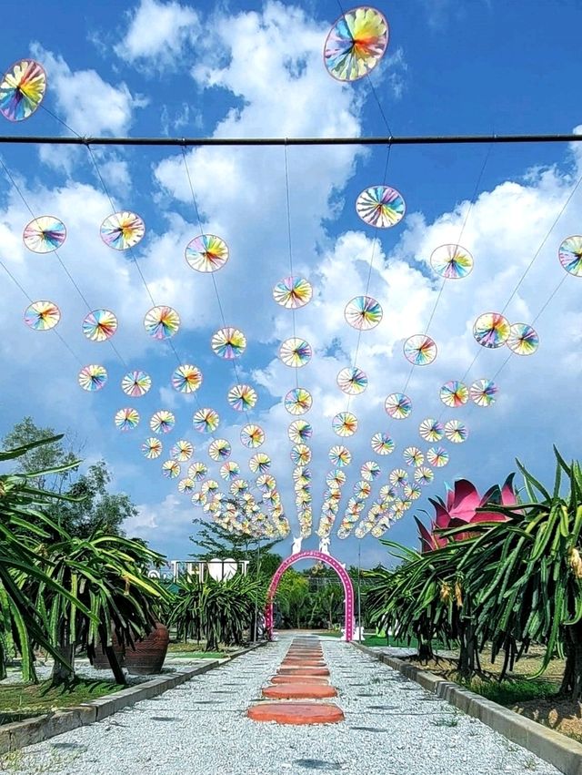My Sepang Itinerary : A Sweet Discoveries at HL Dragon Fruit Eco Farm.