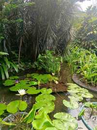 the Secret Garden, Upper Roof @ One Utama, Petaling jaya