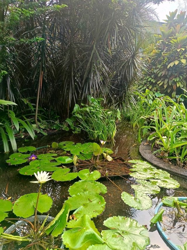 the Secret Garden, Upper Roof @ One Utama, Petaling jaya