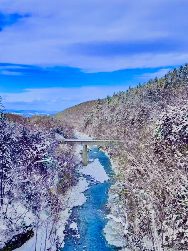 겨울 삿포로, 흰수염폭포의 눈 내린 풍경 ❄️🏔️