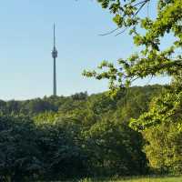 Eichenhain Stuttgart – A Woodland Nature Reserve