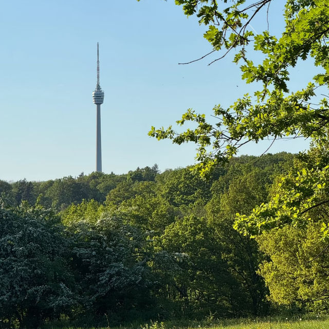 Eichenhain Stuttgart – A Woodland Nature Reserve