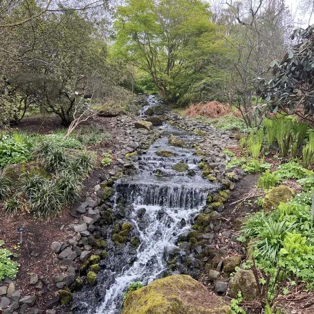 Dreamy Nature in Royal Botanic Gardens (Edinburgh)