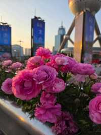 หอไข่มุก เซียงไฮ้ (Oriental Pearl Tower)