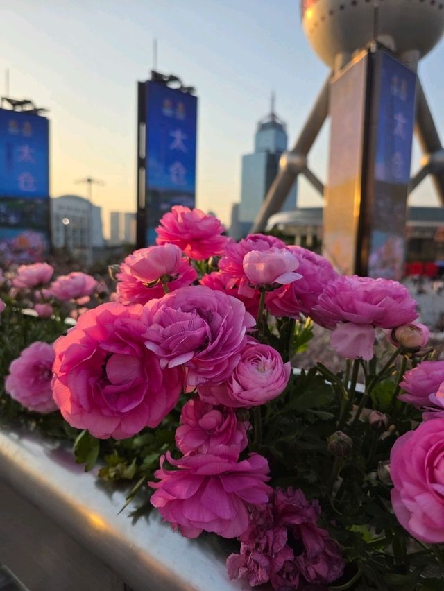 หอไข่มุก เซียงไฮ้ (Oriental Pearl Tower) หอไข่มุก เซียงไฮ้ (Oriental Pearl Tower)