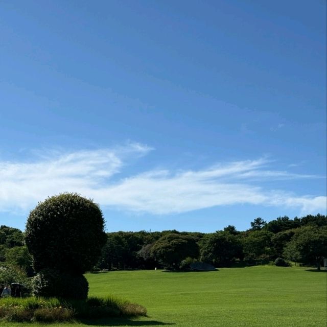 여미지식물원, 제주 속 열대와 사계절의 정원 🌺 여미지식물원, 제주 속 열대와 사계절의 정원 🌺