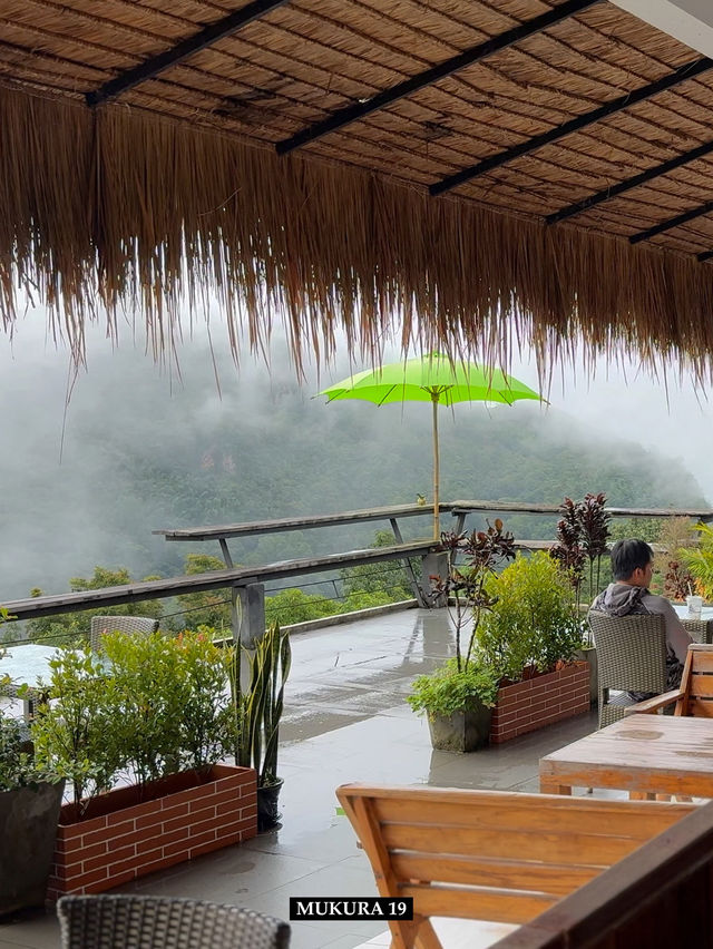 ร้านกาแฟภูผาฮี้ ร่มเขียว  ร้านกาแฟภูผาฮี้ ร่มเขียว