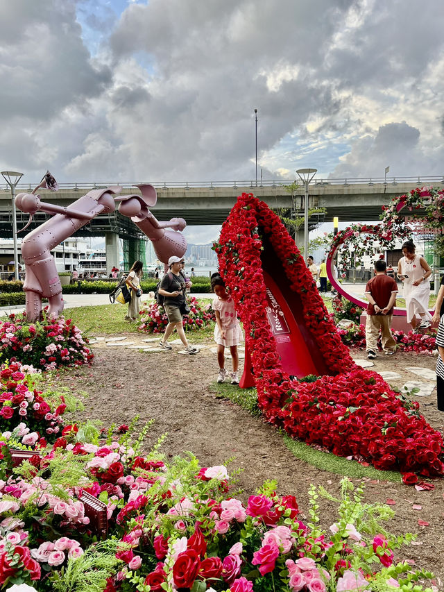 Rose Fantasia盛夏玫瑰奇緣 @北角海濱花園