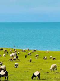 Into the Wild Blue: My Journey to Qinghai Lake