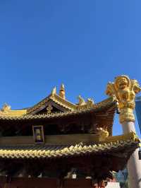 สายมูต้องมา! 🏮✨