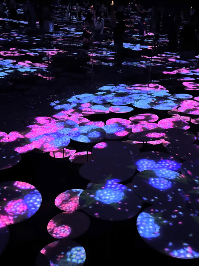🎨 รีวิว MORI Building DIGITAL ART MUSEUM: teamLab