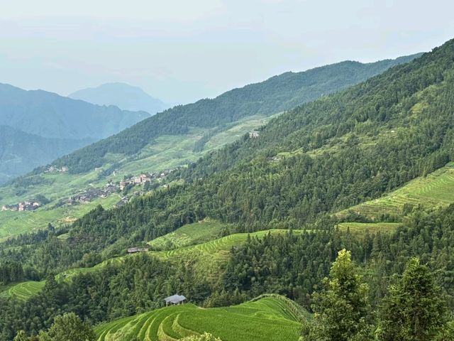 Discover Longji: China’s Stairway of Rice and Wonder