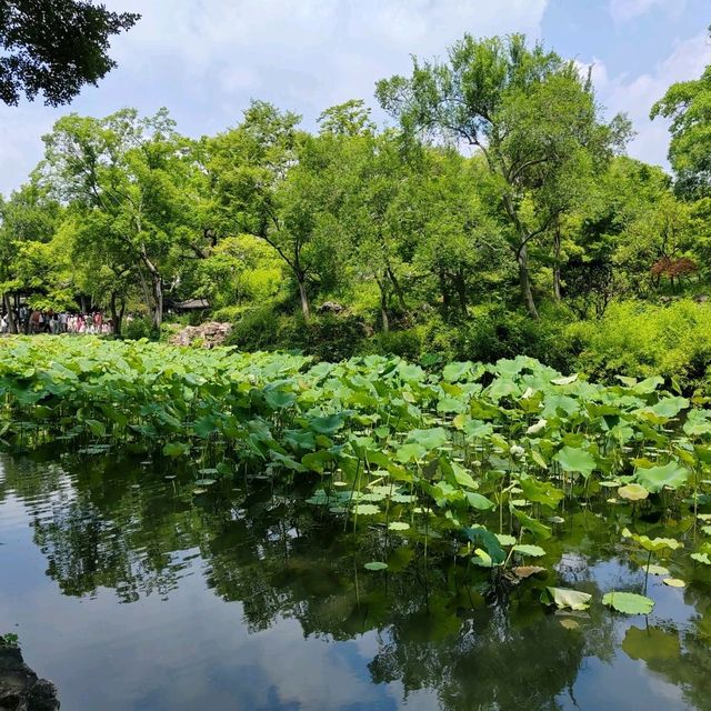 江南園林精粹✨拙政園漫遊記|蘇州古典美學大揭秘 江南園林精粹✨拙政園漫遊記|蘇州古典美學大揭秘