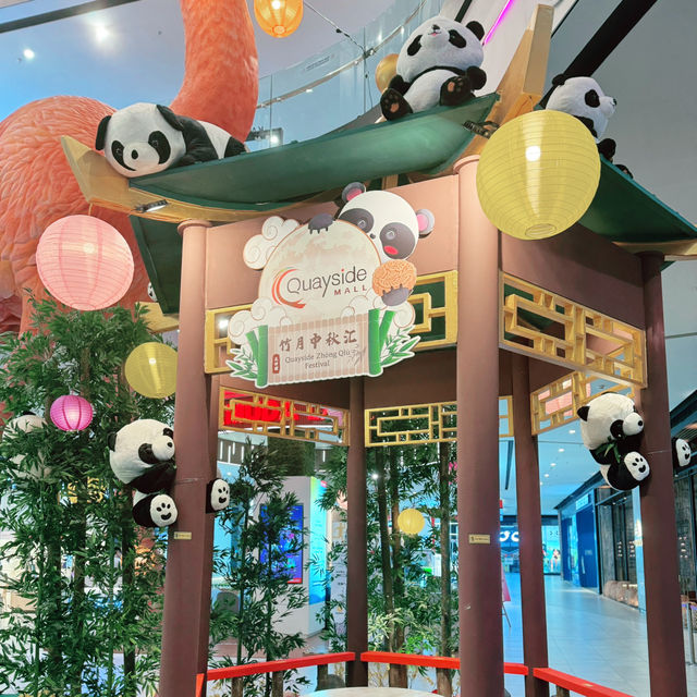 Panda Up Close🐼 & Celebratory Mid-Autumn Lantern Festival  Panda Up Close🐼 & Celebratory Mid-Autumn Lantern Festival