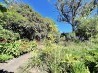 Dunedin Botanic Garden