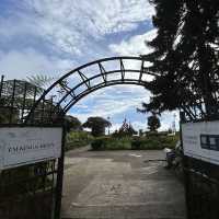 Talking Garden @ SkyAvenue Genting – Whispering Leaves & Interactive Green Spaces