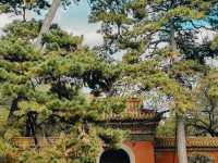 北陵公園🇨🇳