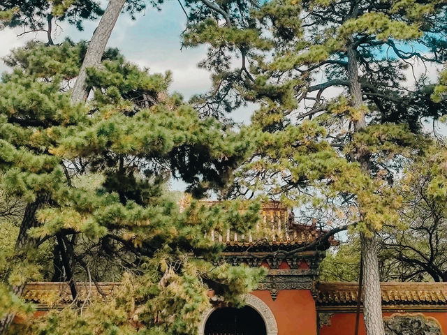 北陵公園🇨🇳