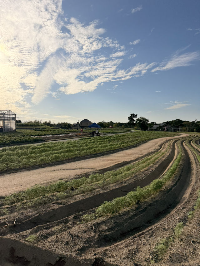 【淡路島】本物のコアラに間近で会える！秋の魅力たっぷりスポット