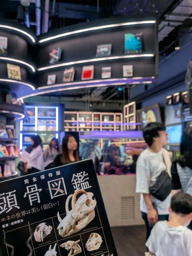 【神戸の水族館】水族館の年パス買うならココでしょ！