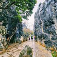 Nature’s Sculpture: Shilin Stone Forest