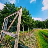 The Dachau Concentration Camp