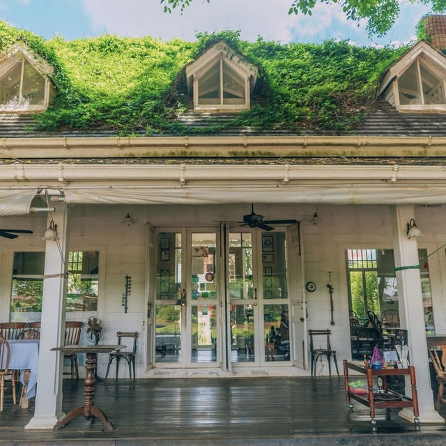 ร้านชีวิตธรรมดา จ.เชียงราย 🏡🍲