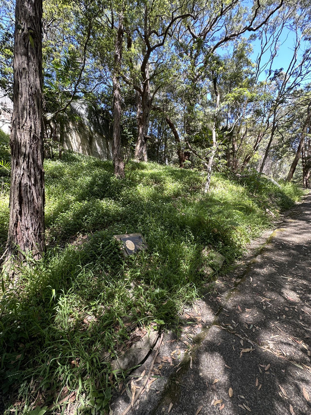 🌳 探訪「總理森林步道Prime Ministers’ Walk」：城市中的森林漫遊