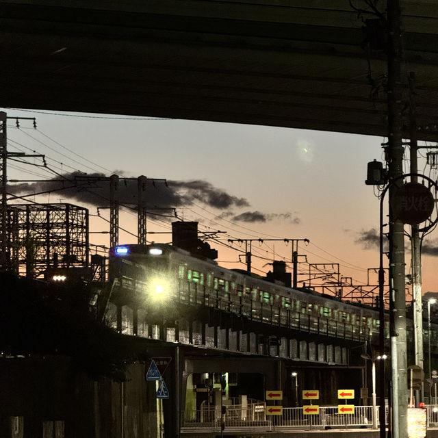 12 Days in Nagoya