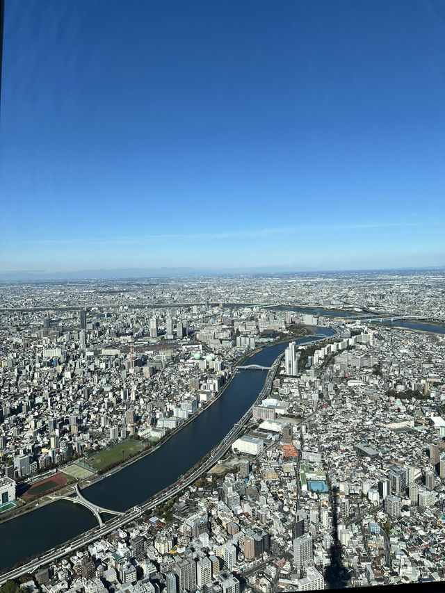 Tokyo Skyline Magic🍦  