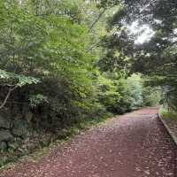 Halla Arboretum, Jeju Island,S.Korea