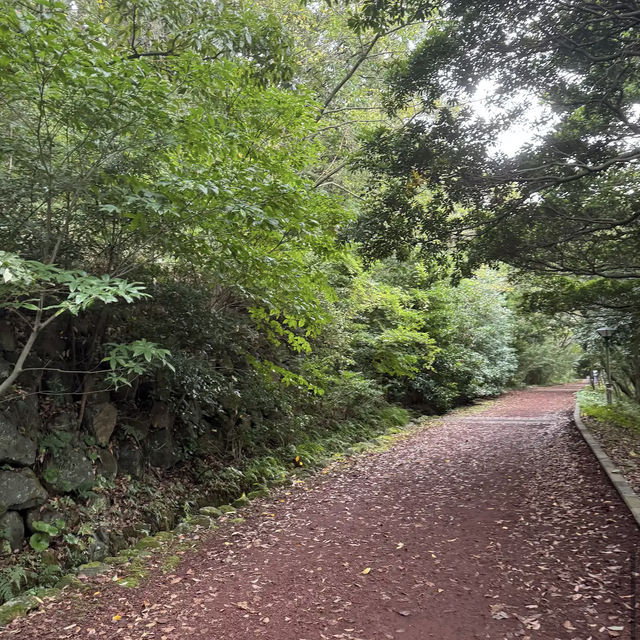 Halla Arboretum, Jeju Island,S.Korea