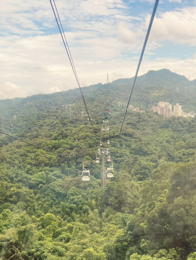 🚡 Maokong Gondola: Soaring Above Taipei's Tea Paradise! 🍵 🚡 Maokong Gondola: Soaring Above Taipei's Tea Paradise! 🍵