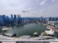 濱海灣金沙的價值?